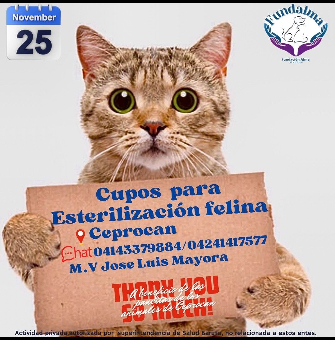 Esteriliza tu gato y mejórale  su calidad de vida! Precio solidario. También puedes colaborar apadrinando un gato de la calle. Actividad que se realiza a beneficio de la alimentación de los animales que hacen vida en el centro.