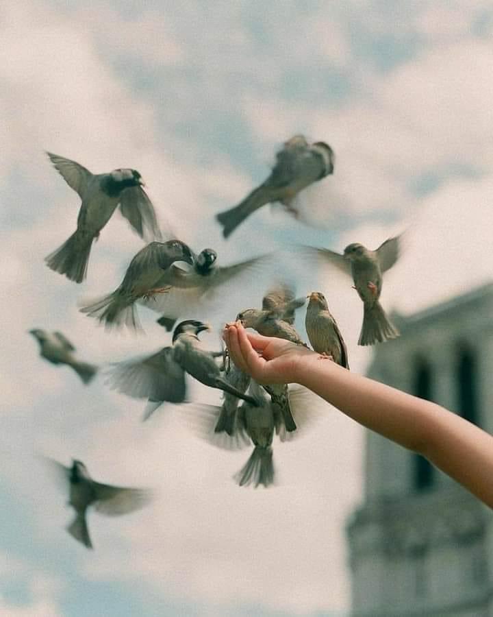 حين تحب الخير .. 
يُسخر الله لك البشر والطير 
يُحبك رب السماء ويحبب بك خلقه
النية الطيبة تجلب لحاملها السعادة💖