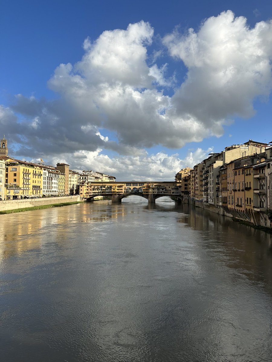 Will | Hinshee tweet media