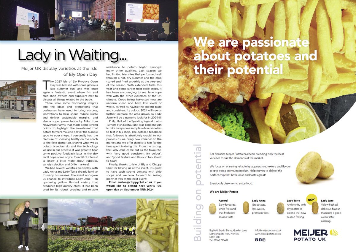 MeijerPotato tweet media