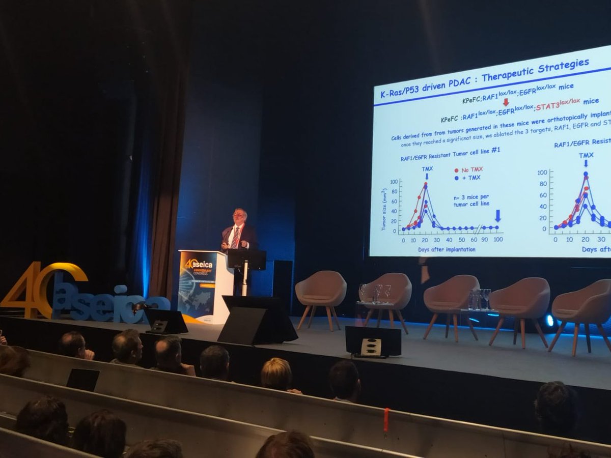 tactics_md's tweet photo. El Dr. @BarbaDelCid clausurando el #ASEICACongress hoy en A Coruña
Gracias @ASEICAnews por dejarnos acompañaros 🤍
#MásqueCongresos💙 #WeAreTactics https://t.co/faeoUCto2h