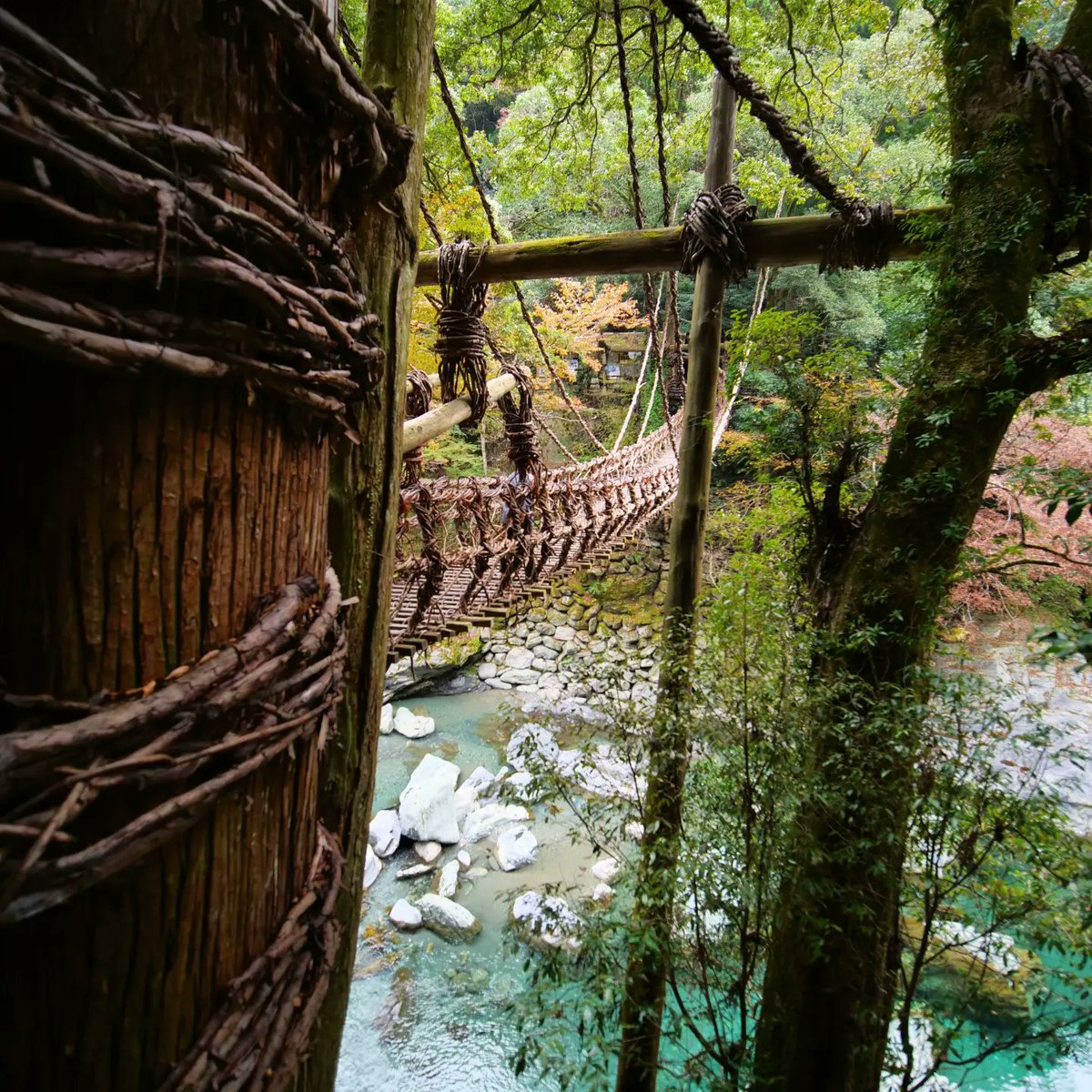 Traversée du #pont en #vigne à 'quelques' mètres au dessus de l'#iya

#LumixG9 #laowa7_5mm

instagram.com/p/CztPayFrCnP/