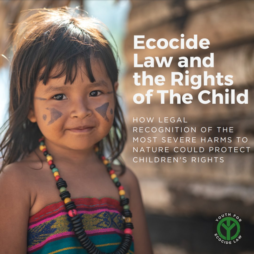 🚀 @EcocideLawYouth have just launched their new report - Ecocide Law And The Rights Of The Child. Read the full Report: stopecocide.earth/s/Ecocide-Law-… Youth advocates from around the world took part in the launch including from the #DRC (pictured). #StopEcocide