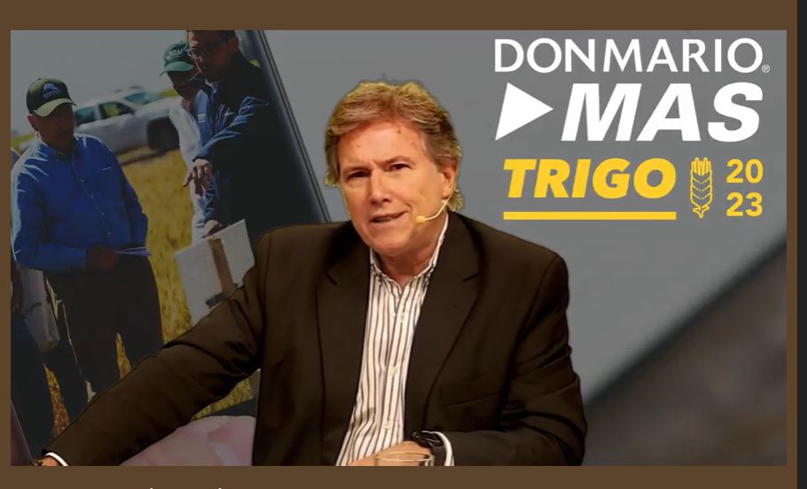 En vivo DONMARIOMAS con <a href="/richardbindi/">Ricardo Bindi 🎙💡🌽📚📈</a> 
Toda la jornada a campo de Trigo más charla de Panorama Tributario a cargo de Santiago Saenz Valiente.
#INNOVARJUNTOSRINDE
<a href="/DONMARIOoficial/">DONMARIO Semillas</a>