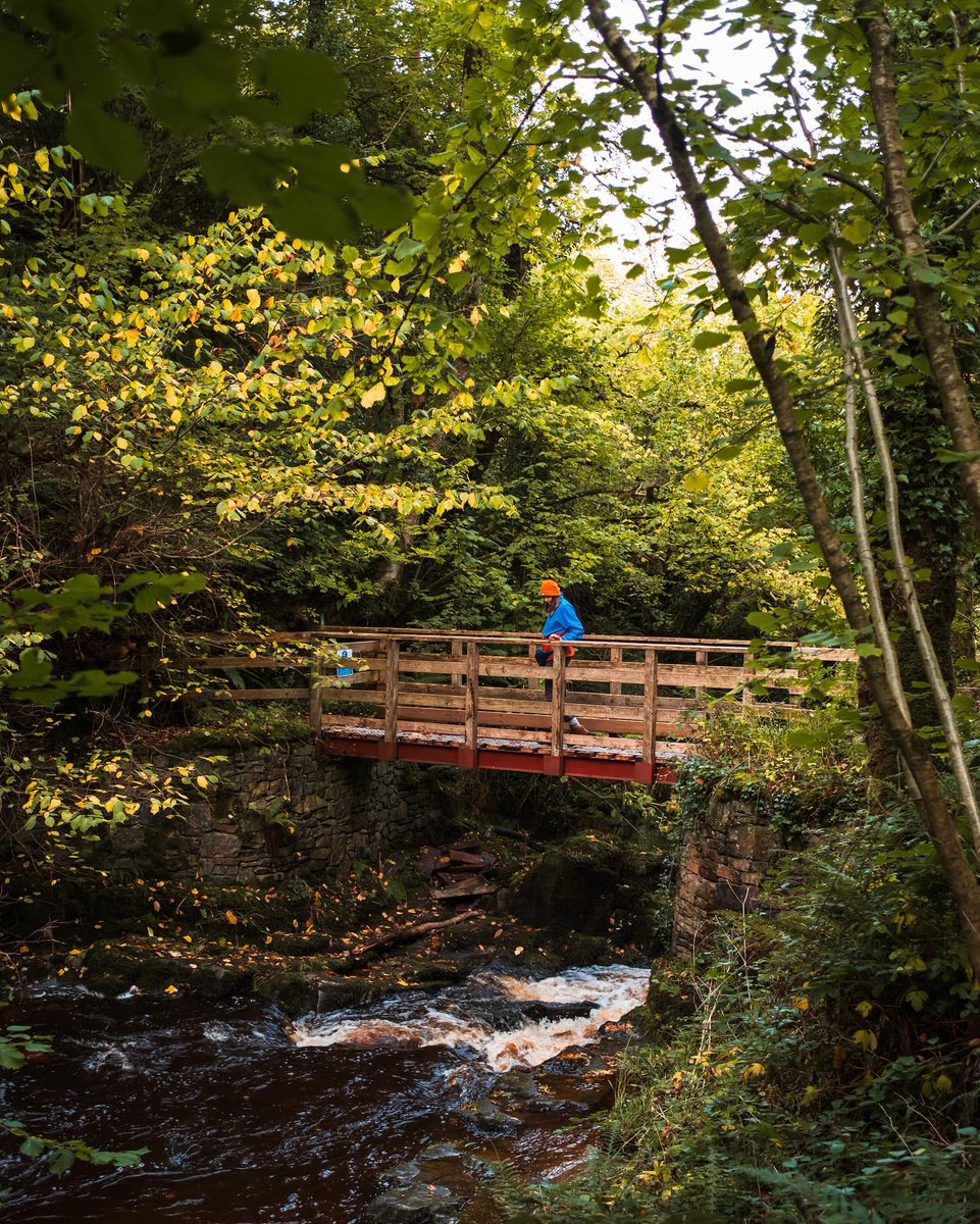 HeartlandsIRL's tweet photo. Lace up your hiking boots and try out one of these trails in #IrelandsHiddenHeartlands ๐ฅพ๐
โ๏ธ The Miner's Way & Historical Trail
๐๏ธ #LoughDerg Way
โฐ๏ธ #SlieveBloom Way
Tap for more stunning routes ๐ https://t.co/DMjpBkWu6g
๐ธ @lemonlimod
#KeepDiscovering https://t.co/BSqNAxYgCg