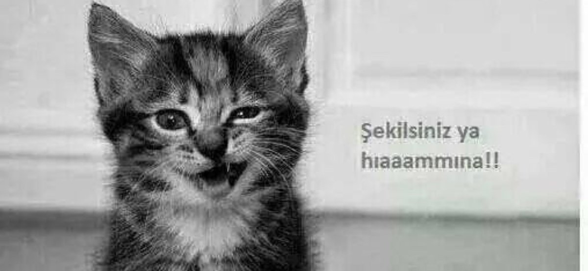 Bazı Elit’iz diyen çiftlere söylemek istediğim 😉