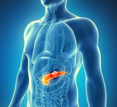 Giornata mondiale sul cancro al pancreas. Test per diagnosi precoci a chi è predisposto geneticamente alla malattia. Internet sott'acqua, Startup all'Università La Sapienza di Roma per il Wi-Fi sottomarino. Starship: secondo test di lancio a Boca Cica. TGR Leonardo, 14.50 RAITRE