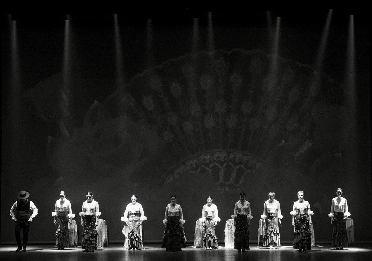 PilucaVelasco's tweet photo. Feliz Día Internacional del Flamenco!! 💃💃❤️ https://t.co/RadTJJI2kj