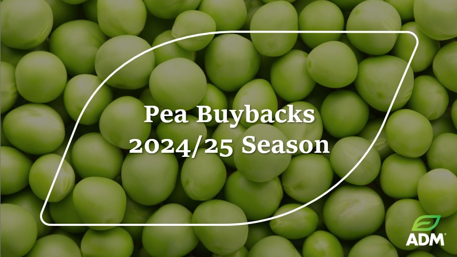 #Watch: #ADMAgriculture Pulses Trader, Matt Cahalin, tells us about the wonders of #peas and the benefits provided by #ADM in helping you get the best from your #pea crop youtu.be/iig_hRppaw0
