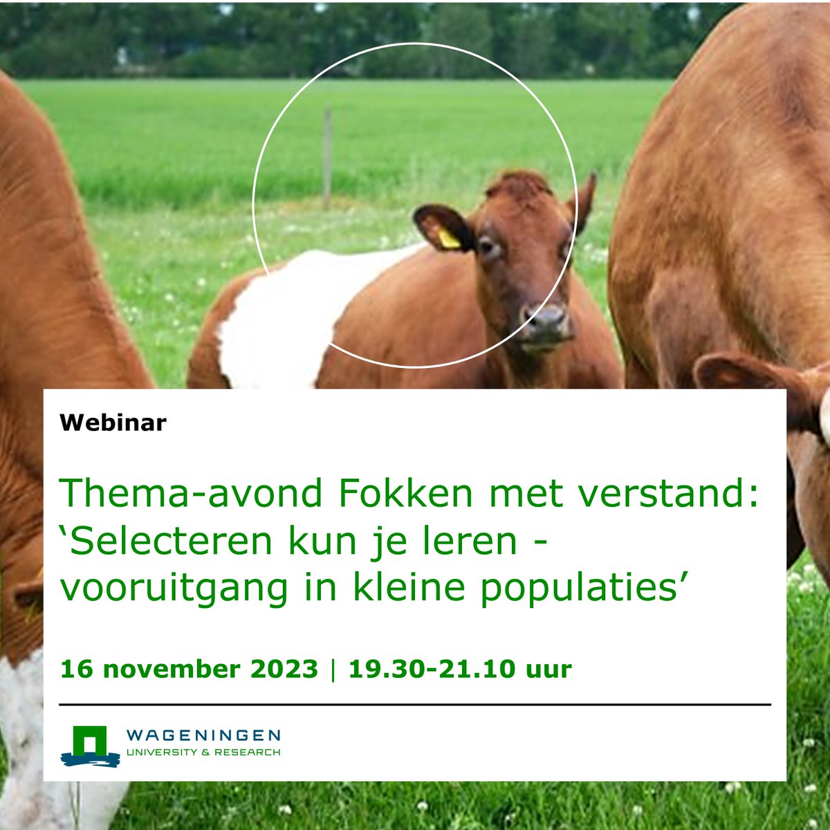 ‘Selecteren kun je leren: vooruitgang in kleine populaties' is vanavond het vijfde thema in de webinarserie Fokken met Verstand. Al meer dan 400 mensen hebben zich aangemeld! Ook meedoen? Aanmelden kan tot 18.00u 👉forms.office.com/pages/response… @WURlivestock @HiemstraSJ