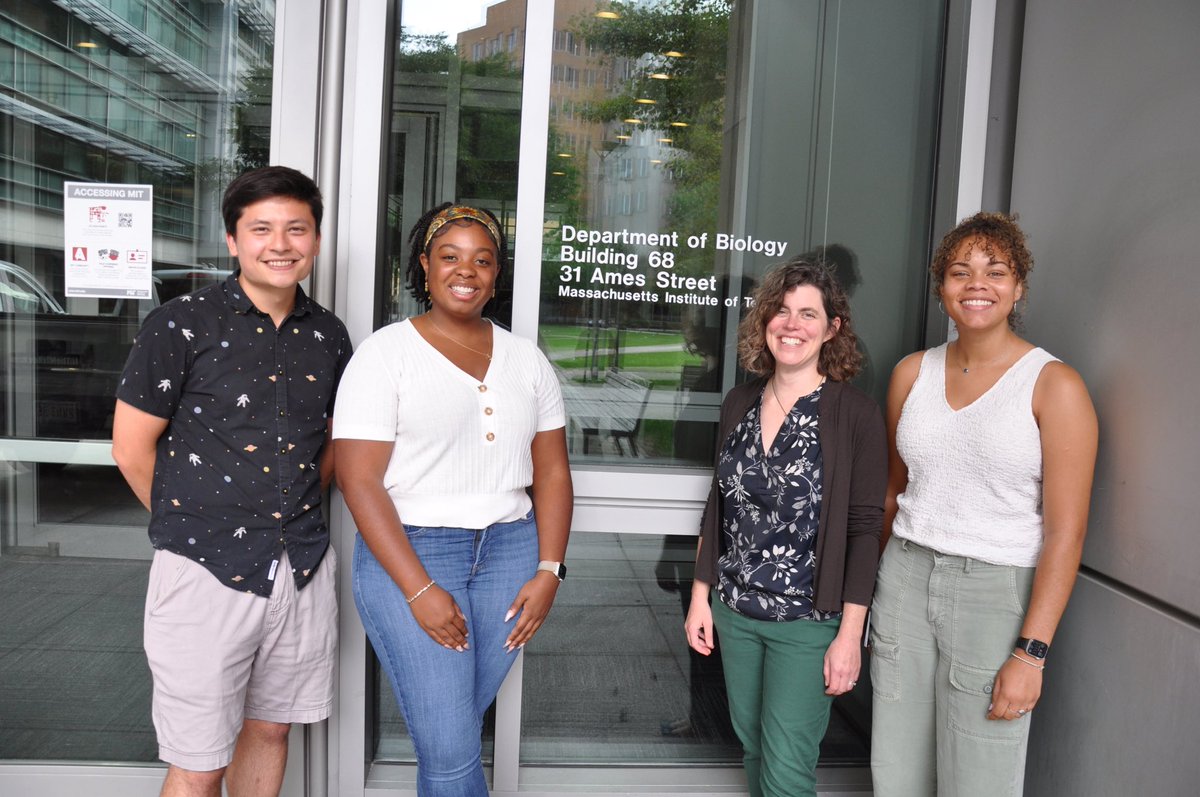 MandanaMSRP tweet media