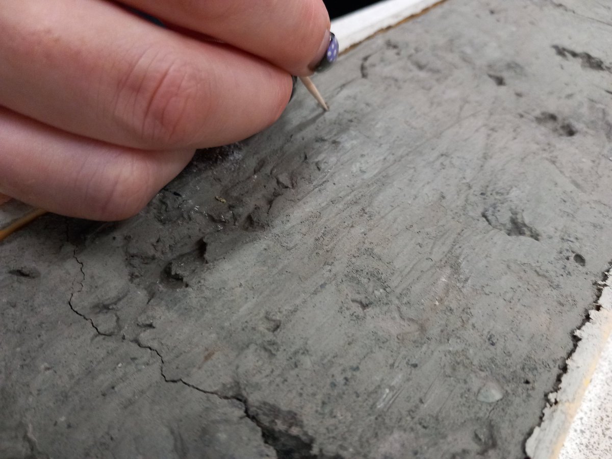 Woods_of_Purple's tweet photo. Fantastic workshop "The Power of Mud" yesterday, looking at cores and how to read them π #TMS23 #microfossils π @MicropalaeoSoc https://t.co/pLEghBeLwE