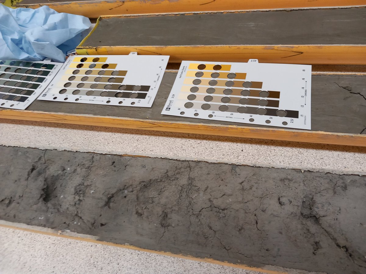 Woods_of_Purple's tweet photo. Fantastic workshop "The Power of Mud" yesterday, looking at cores and how to read them π #TMS23 #microfossils π @MicropalaeoSoc https://t.co/pLEghBeLwE