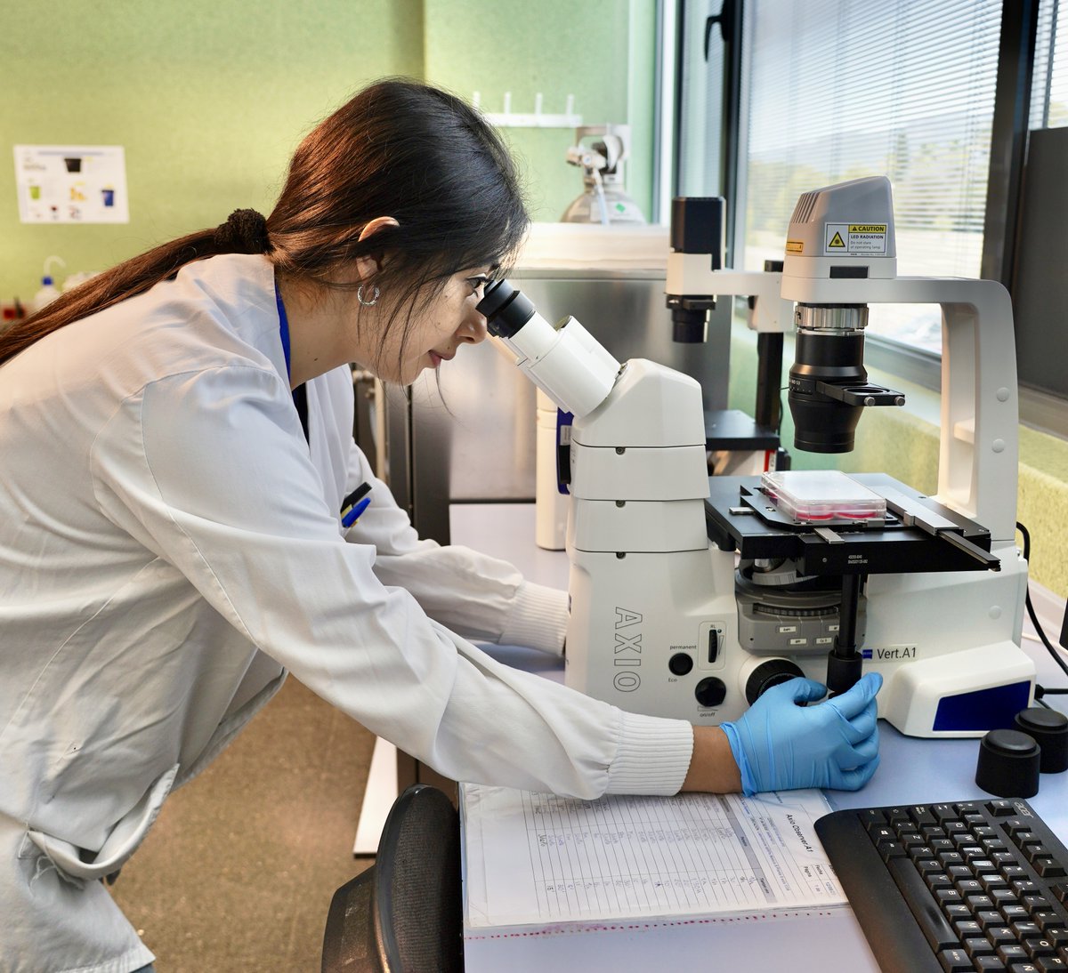Pancreatic Cancer Oncogenesis Lab (@panc_idisba) on Twitter photo 💜Today is #WorldPancreaticCancerDay. Our group
<a href="/idisbaib/">IdISBa</a> is working hard 👩🔬👨🔬to identify novel oncogenic vulnerabilities 🧬to redude the burden of relapse & metastasis 🦀. Special thanks to patients 🏥and funders 💸<a href="/SalutGOIB/">Conselleria de Salut</a> <a href="/SaludISCIII/">Instituto de Salud Carlos III (ISCIII)</a> <a href="/ContraCancerIB/">Asociación Española Contra el Cáncer Illes Balears</a> <a href="/PrecodeP/">PRECODE Project</a> <a href="/transpan_cost/">TRANSPAN COST Action</a> 💜Today is #WorldPancreaticCancerDay. Our group
<a href="/idisbaib/">IdISBa</a> is working hard 👩🔬👨🔬to identify novel oncogenic vulnerabilities 🧬to redude the burden of relapse & metastasis 🦀. Special thanks to patients 🏥and funders 💸<a href="/SalutGOIB/">Conselleria de Salut</a> <a href="/SaludISCIII/">Instituto de Salud Carlos III (ISCIII)</a> <a href="/ContraCancerIB/">Asociación Española Contra el Cáncer Illes Balears</a> <a href="/PrecodeP/">PRECODE Project</a> <a href="/transpan_cost/">TRANSPAN COST Action</a>
