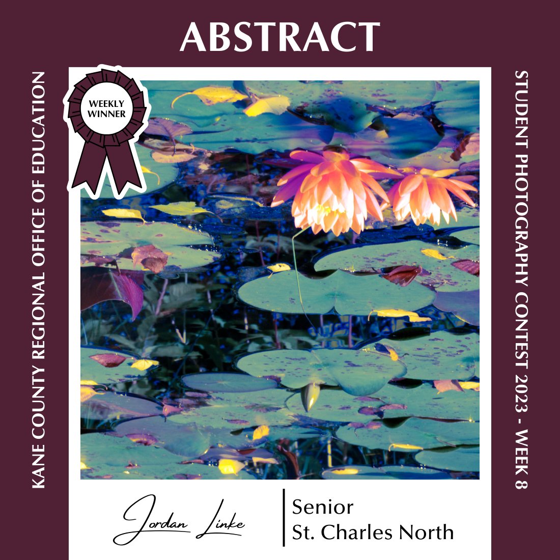 D303Pride tweet media