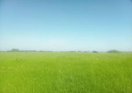up_armored's tweet photo. Visuospatial perception and the autonomic nervous system are symmetric. Open spaces stimulate the parasympathetic nervous system; high ceilings promote creativity. When the feeling of love stimulates the PNS, it causes the perception of space and possibility to expand. #grasstwt https://t.co/mKzllxI0g2