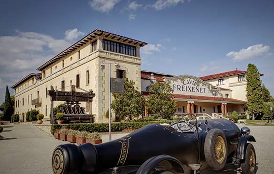 TecnoVino tweet media