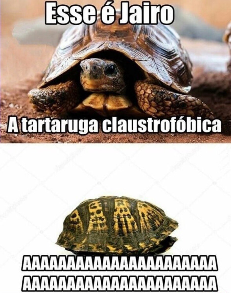 kansaita_'s tweet image. mi favorito