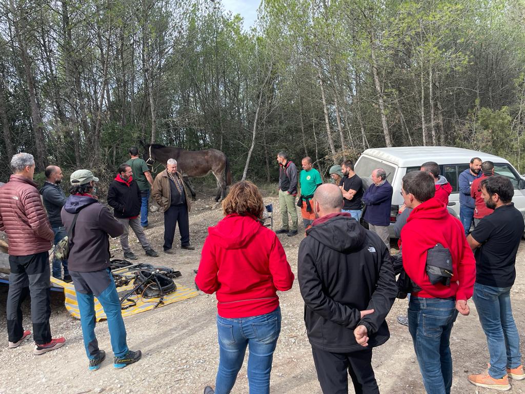 castelloli's tweet photo. Aquest matí s'ha celebrat a #Castellolí la Jornada de demostració de #desembosc amb tracció animal modera🐴

Primer s'ha fet una xerrada a La Cooperativa i després els participants han gaudit d'una demostració al bosc 🪵

#Castellolí #EnsMovem https://t.co/YST8phYZyf