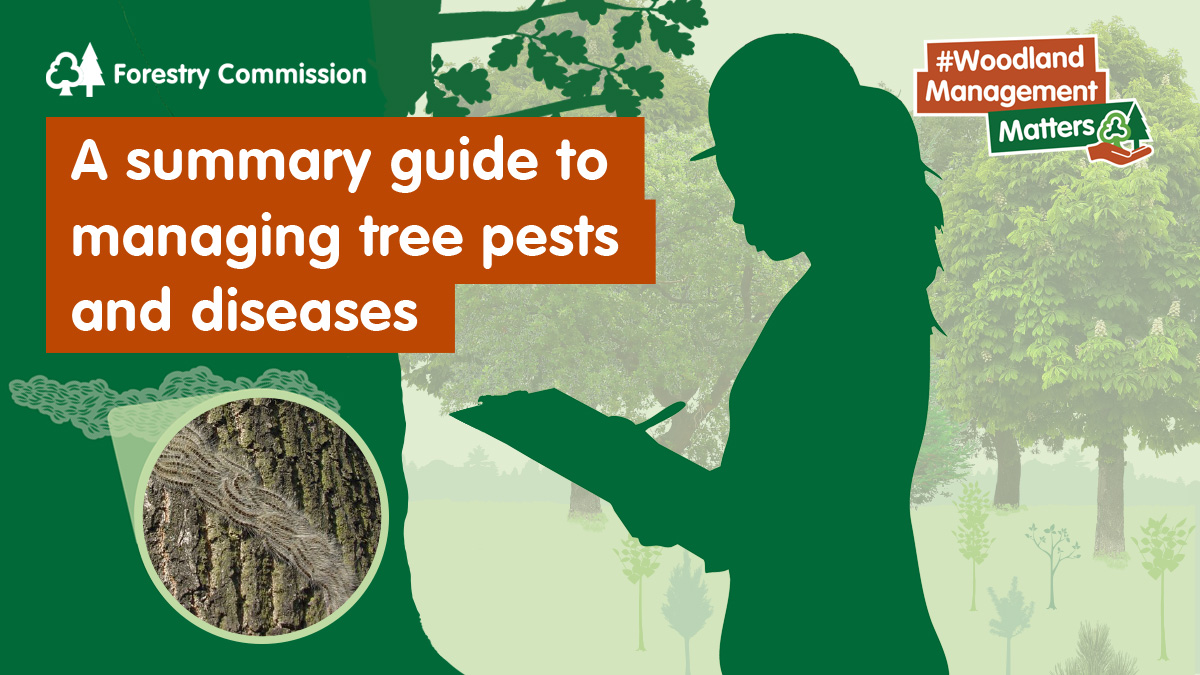 Forestry Commission tweet media