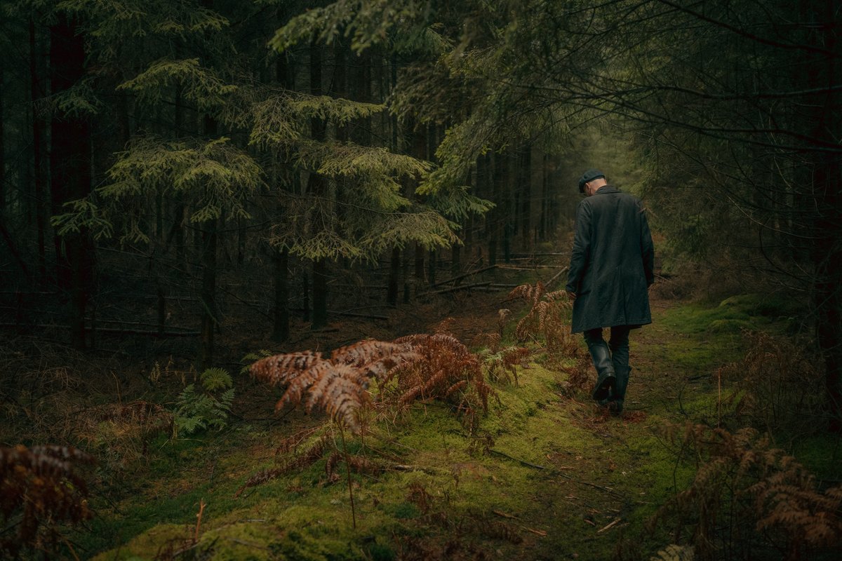 JanWaider's tweet photo. @Lightroom Forest Tales 🍂💛 https://t.co/CIJLBL9pfX
