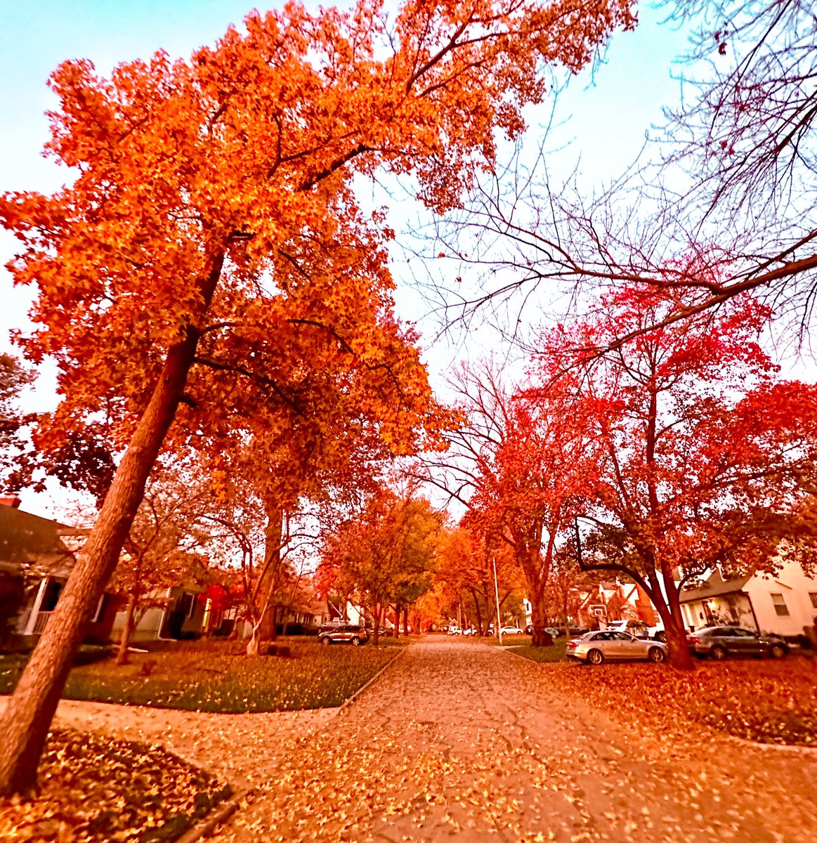 AsSceneInKC's tweet photo. Warm as the colors of an #autumn #dawn in #KansasCity 
.
.
#kansas #missouri https://t.co/5PEEOUpSTM