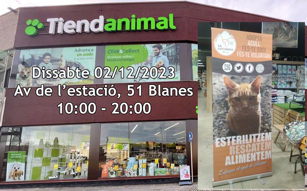 Sa Gatonera Blanes tweet media