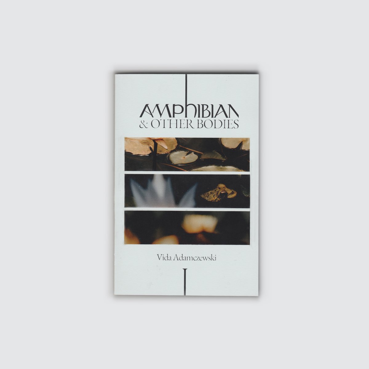 Toothgrinderuk's tweet photo. TG0019
AMPHIBIAN &amp; OTHER BODIES

The debut collection of short stories by Vida Adamczewski @vida_adamczewsk 

'Smart, surprising, fresh, strange and utterly unlike anything you’ve read before' - @rachelnalong 

Pre-order: https://t.co/9bIEQ5vSxy

Launch:
https://t.co/6f3IAzrB7U. https://t.co/HHVgrCzk4X
