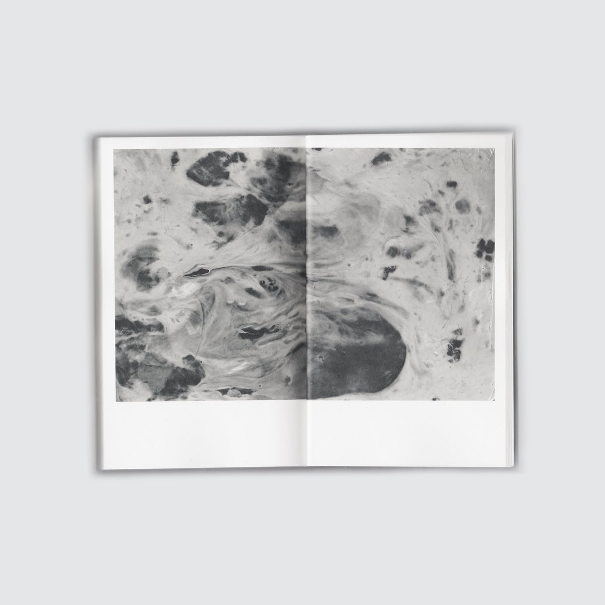 Toothgrinderuk's tweet photo. TG0019
AMPHIBIAN &amp; OTHER BODIES

The debut collection of short stories by Vida Adamczewski @vida_adamczewsk 

'Smart, surprising, fresh, strange and utterly unlike anything you’ve read before' - @rachelnalong 

Pre-order: https://t.co/9bIEQ5vSxy

Launch:
https://t.co/6f3IAzrB7U. https://t.co/HHVgrCzk4X