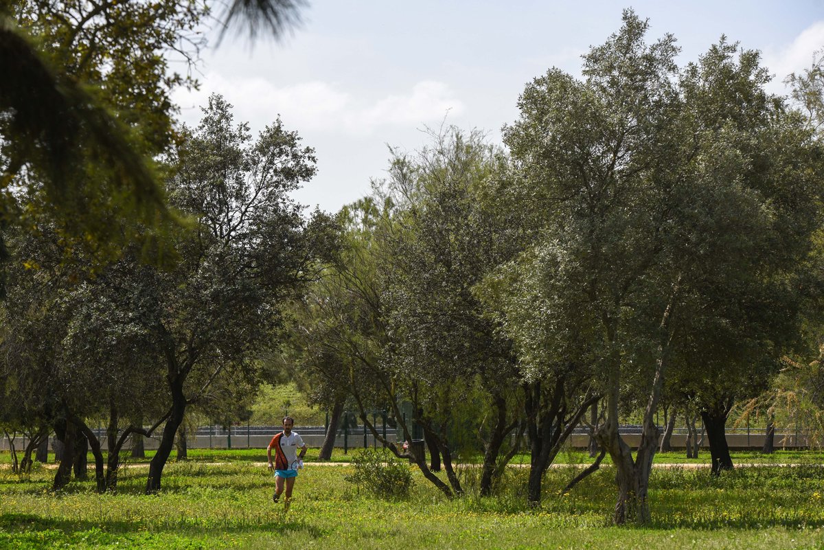 Si vas este sábado al Parque Amate coincidirás con la VIII Carrera de Orientación Familiar y podrás acercarte a este deporte que engancha a todo el que lo practica.
¿Te animas? 
Los amigos de <a href="/adolinces/">ADOLINCE</a> te podrán informar de cómo iniciarte en esta modalidad 😃