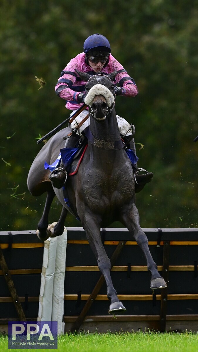 ppauk's tweet photo. 🏇 - 𝗥𝗔𝗖𝗘 𝗢𝗡𝗘 𝗪𝗜𝗡𝗡𝗘𝗥 - 🏇

Victory for Lady Gwen, ridden by Kai Lenihan and trained by @kimbaileyracing, takes the Jeremy Parsons 60th Birthday Celebration Conditional Jockeys' Handicap Hurdle @TauntonRacing 

@wmnsport @somlivesport @HiggsonHorses @WMNHorses @RacingPost @RacingTV