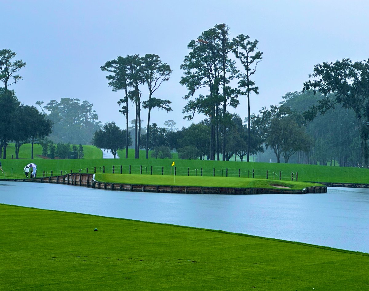 Rick Golfs tweet media