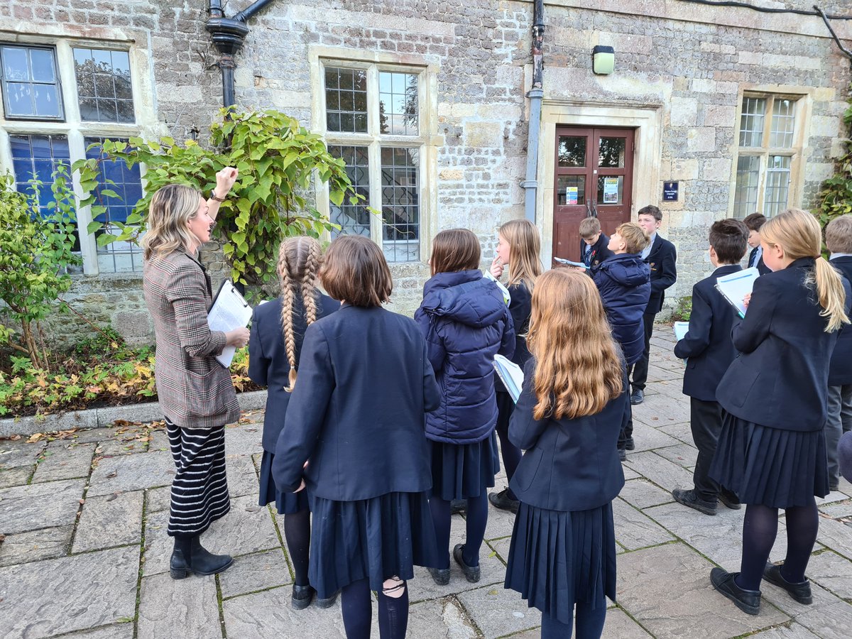 VerlucianCommunity tweet media