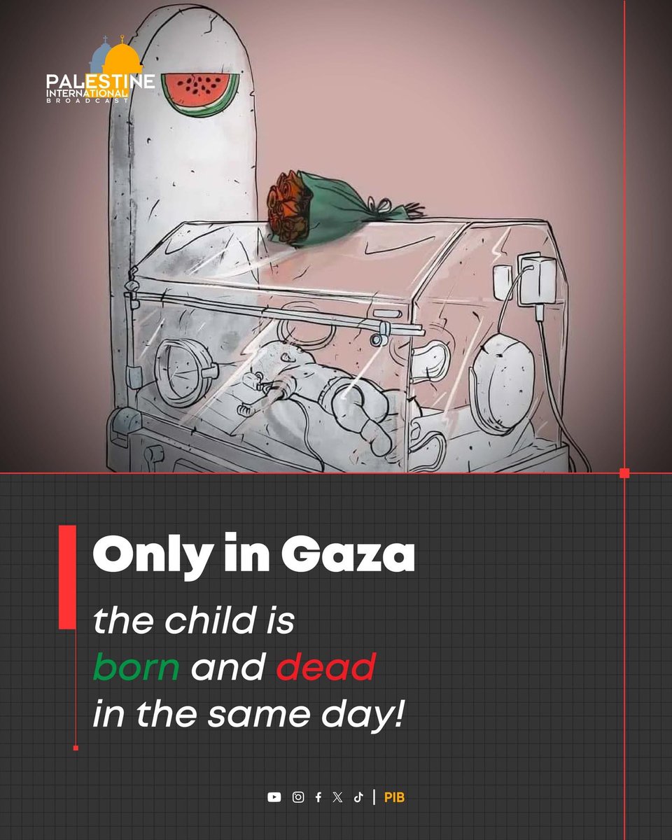 Only in Gaza, the child is born and dead in the same day!

#GazaGenocide #ChildrenLivesMatter #GazaCrisis #ceasefireInGazaNOW #FreePalestine