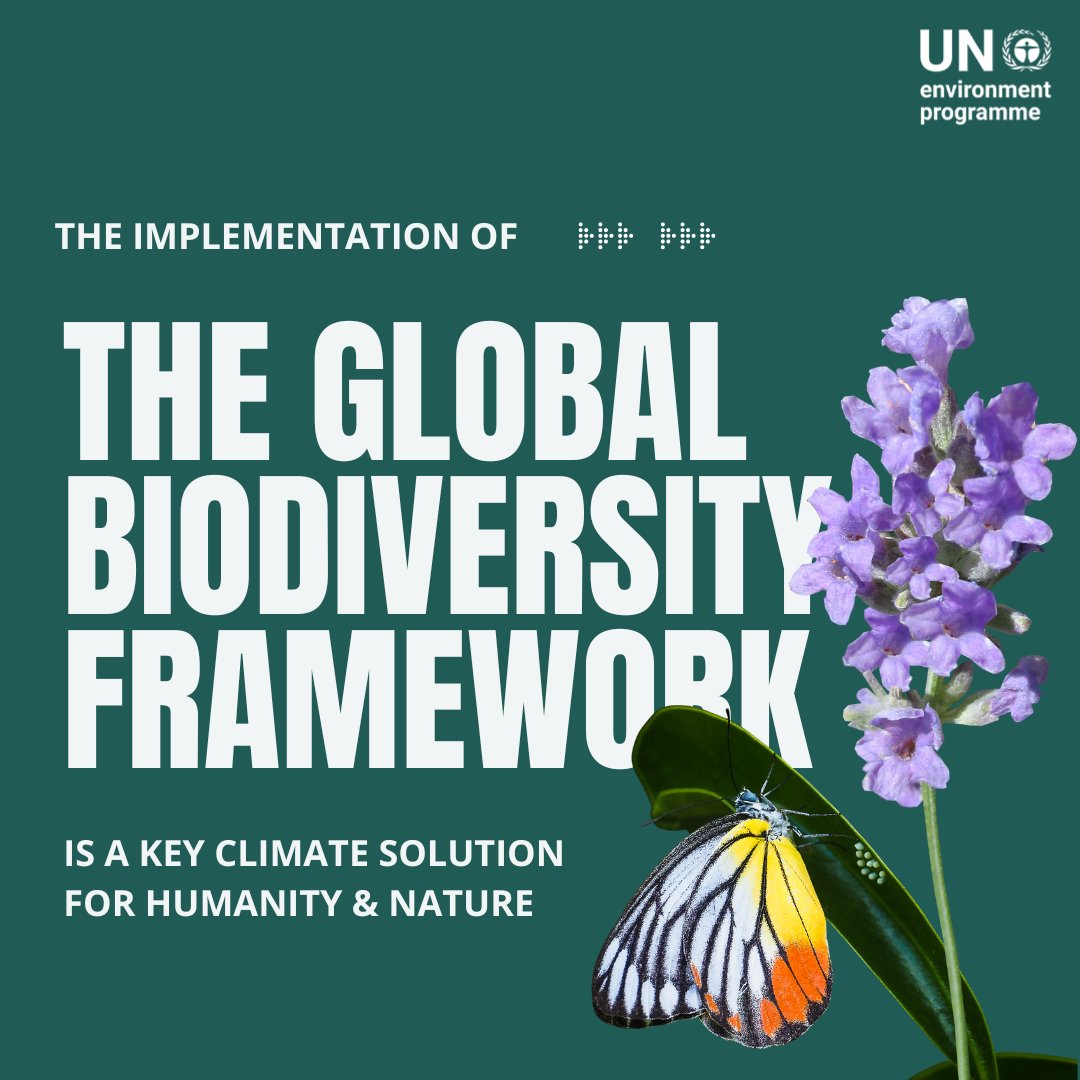 We cannot combat the climate emergency without nature.

Yet, nature is in crisis.

The Kunming-Montreal Global Biodiversity Framework is our roadmap out of it. Here‘s how: unep.org/resources/kunm…