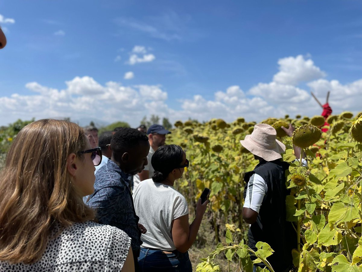 Stian Christensen (@norwayinaddis) on Twitter photo Today the Emb visited 🇳🇴’s investment of USD $11mil through @Norfund in Samanu’s 🧼soap &🛢️edible oil factory. The aim is to engage in the entire value chain, increasing local production in 🌻sunflower, creating jobs & providing income for smallholder farmers👨🌾. <a href="/MoA_Ethiopia/">Ministry of Agriculture Ethiopia</a> Today the Emb visited 🇳🇴’s investment of USD $11mil through @Norfund in Samanu’s 🧼soap &🛢️edible oil factory. The aim is to engage in the entire value chain, increasing local production in 🌻sunflower, creating jobs & providing income for smallholder farmers👨🌾. <a href="/MoA_Ethiopia/">Ministry of Agriculture Ethiopia</a>