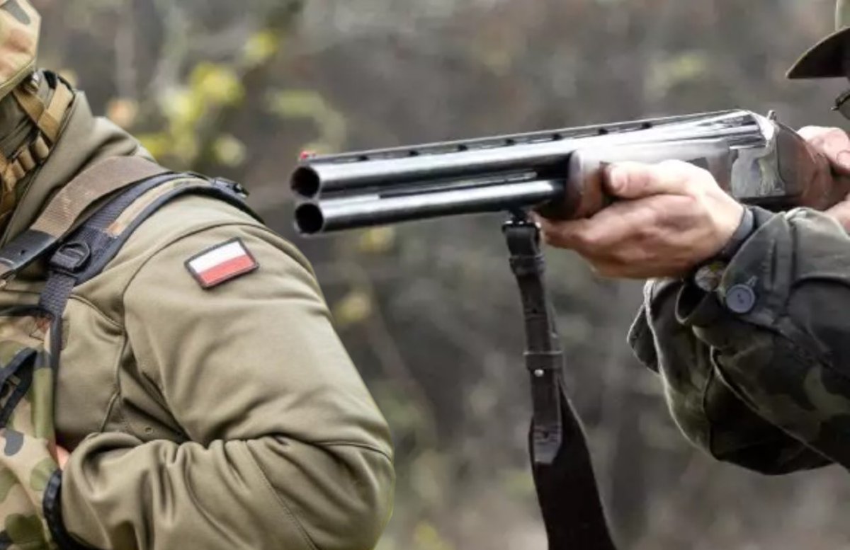 Nasze Lasy 🌳🌍🏞⚔️ tweet media