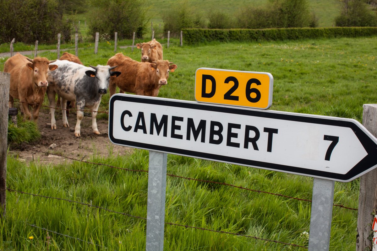 Commission européenne 🇪🇺 tweet media