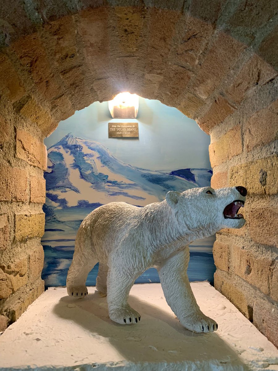 The Dutch Polar Bears Foundation tweet media