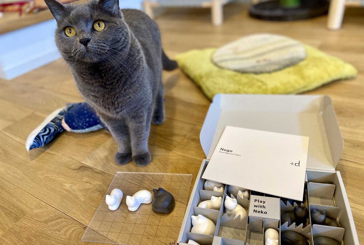 SabamisoCat's tweet image. 注文していたNego が届いたので、さばみそとごましおと遊んでみた🐱
インテリアにもなる猫のボードゲーム🐈
#さばみそ #ブリティッシュショートヘア #ごましお #マンチカン #猫 #Nego #ネゴ #ボードゲーム