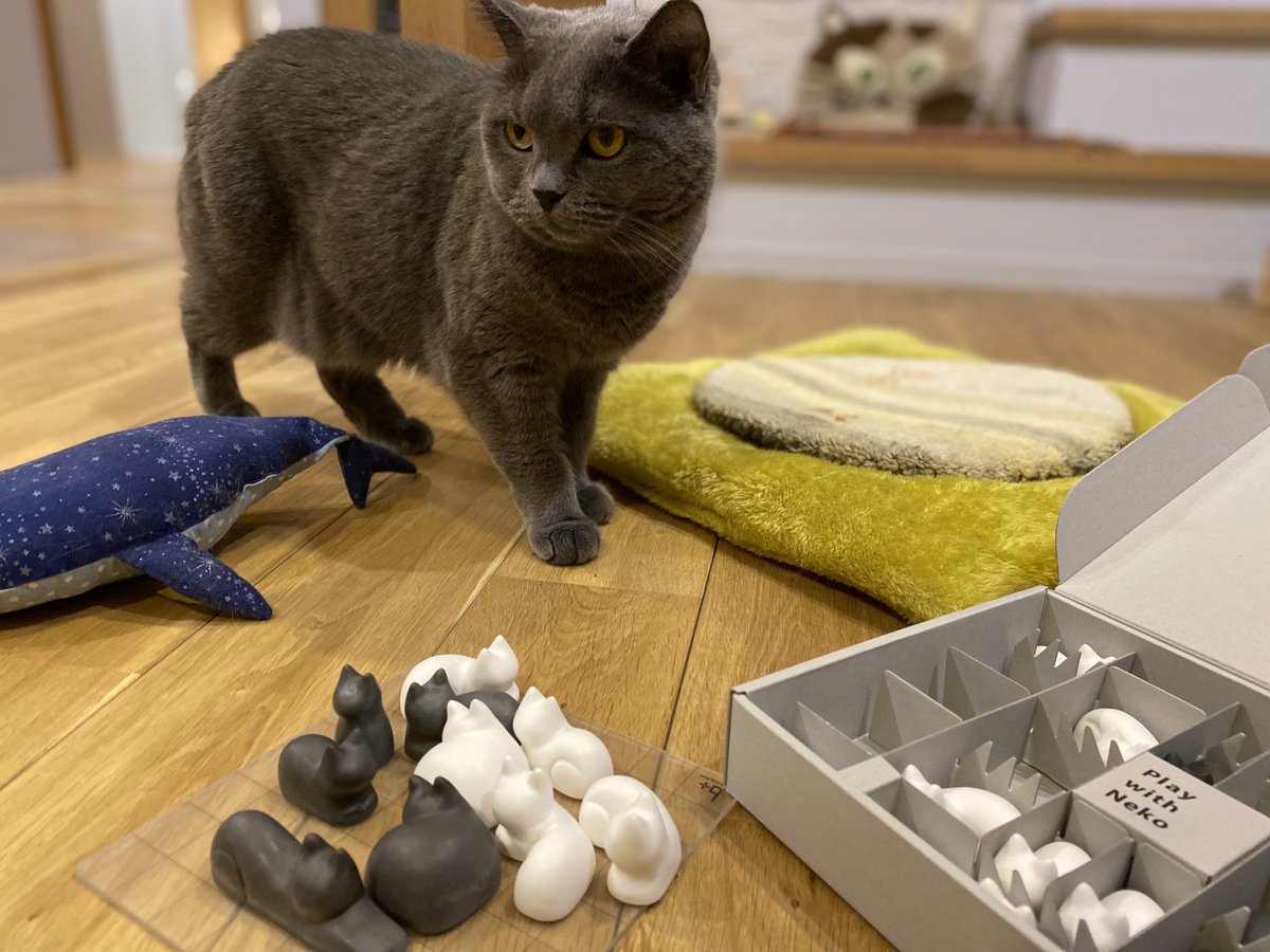 SabamisoCat's tweet image. 注文していたNego が届いたので、さばみそとごましおと遊んでみた🐱
インテリアにもなる猫のボードゲーム🐈
#さばみそ #ブリティッシュショートヘア #ごましお #マンチカン #猫 #Nego #ネゴ #ボードゲーム