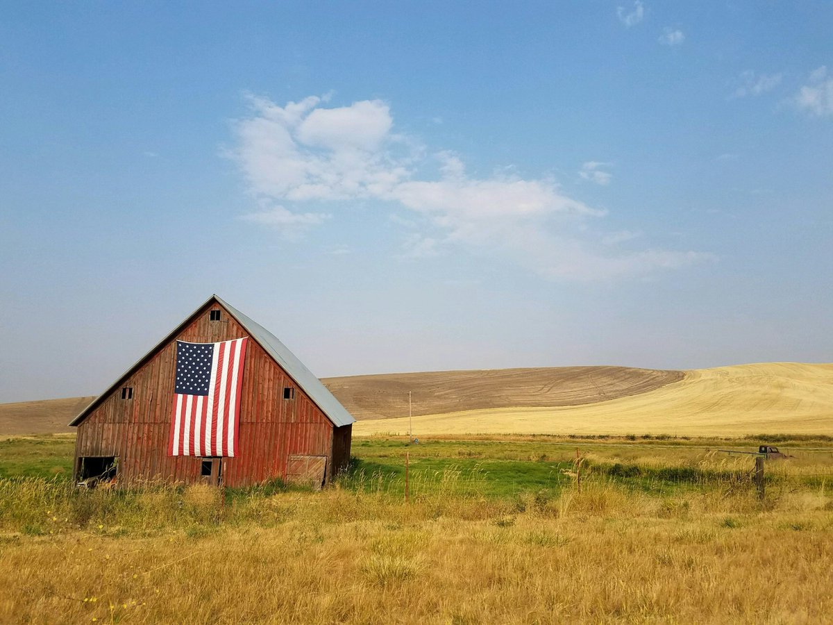 USRuralHealth's tweet photo. Today is #NationalRuralHealthDay! 

It's time to spotlight the advancements of individuals and communities that have bridged the #healthcare gap in #RuralAmerica.🇺🇸🇺🇸🇺🇸

Listen to a podcast discussing the future of rural health and new solutions: 
https://t.co/a0uvWeY33f https://t.co/7ySyPWP2sc
