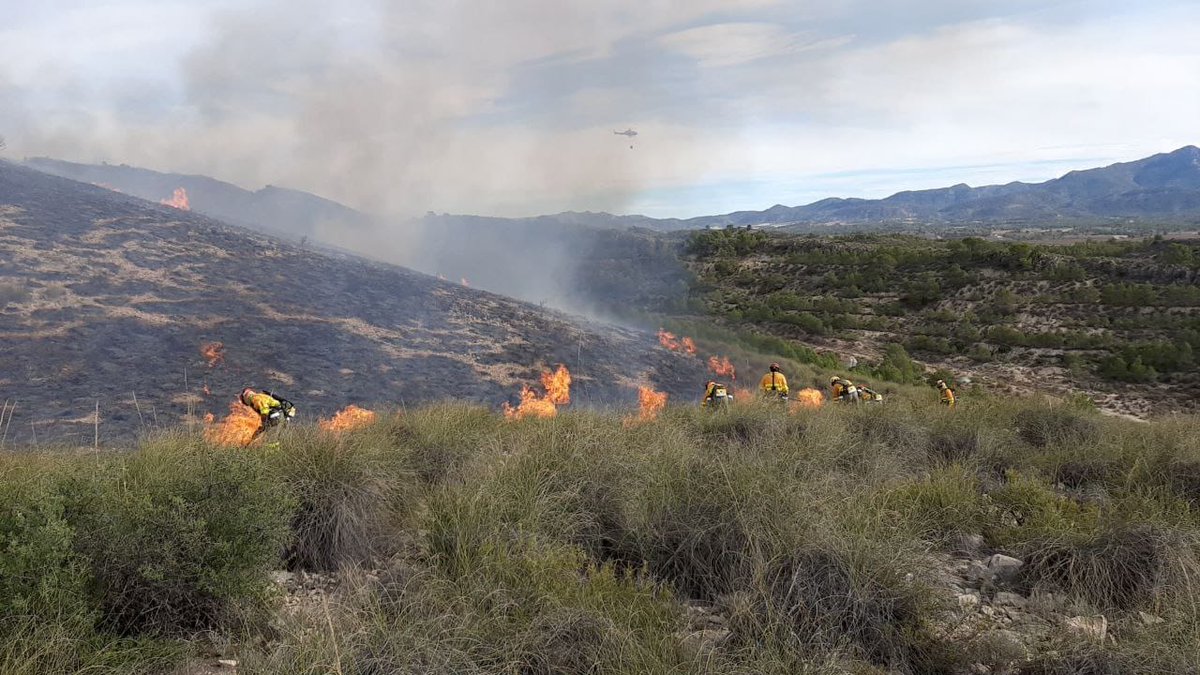 📢Efectivos adscritos al #PlanInfomur trabajan en la extinción del incendio forestal 🔥declarado en Román, pedanía de #Jumilla. 

<a href="/MurciaForestal/">MURCIA FORESTAL</a>
<a href="/defensaforeMUR/">DEFENSA FORESTAL MURCIA</a> 
<a href="/aamm_murcia/">AM Región de Murcia</a>
<a href="/BomberosCEIS_RM/">Bomberos Región de Murcia - CEIS</a> 
Protección Civil de <a href="/AytoJumilla/">Ayuntamiento Jumilla</a> 

📇noticias.112rmurcia.es/?kCqBT

📸<a href="/aamm_murcia/">AM Región de Murcia</a>