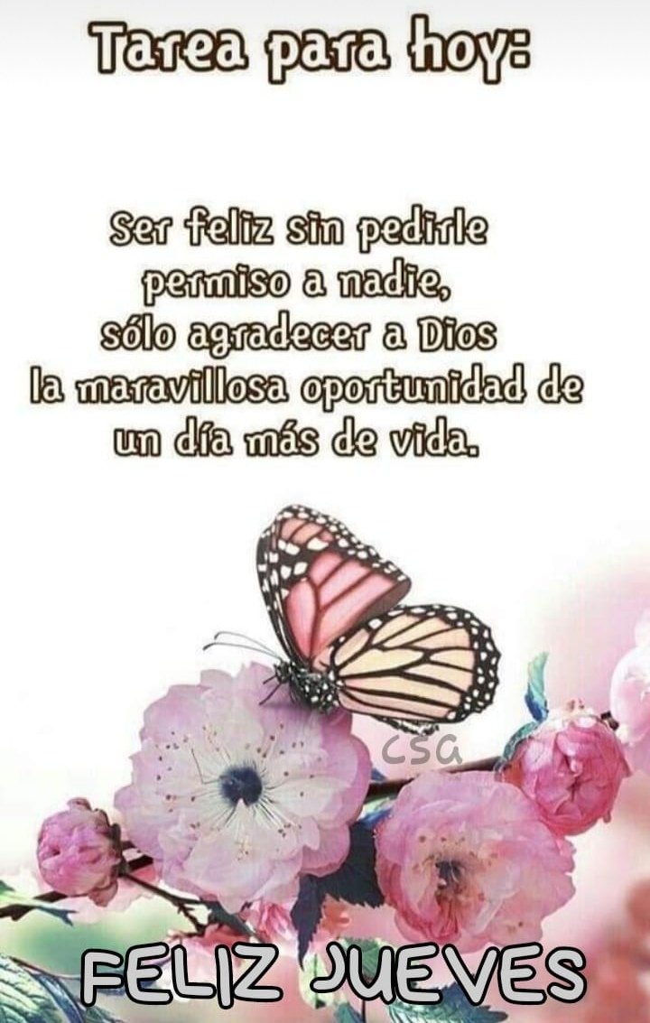 Lupe Monroy (@lupemonroy6) on Twitter photo 