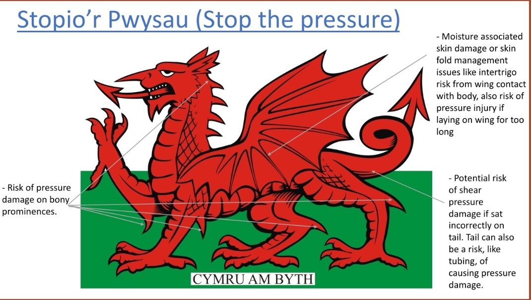 UhbwT's tweet image. Some of the excellent entries to our International Poster-Making Competition to raise awareness of #stopthepressure in as many languages as possible 🌍🤗