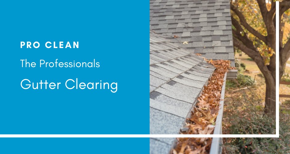 ProClea68697112's tweet photo. Whether it’s a build-up of leaves, grime, dirt, or twigs, our gutter clearance service ensures all debris is fully removed so your guttering remains in full working order.
Visit to find out more - https://t.co/dJuLPpyu4e
#ProClean #Gutters #GutterCleaning #Warwick https://t.co/OPtNjjiOJM