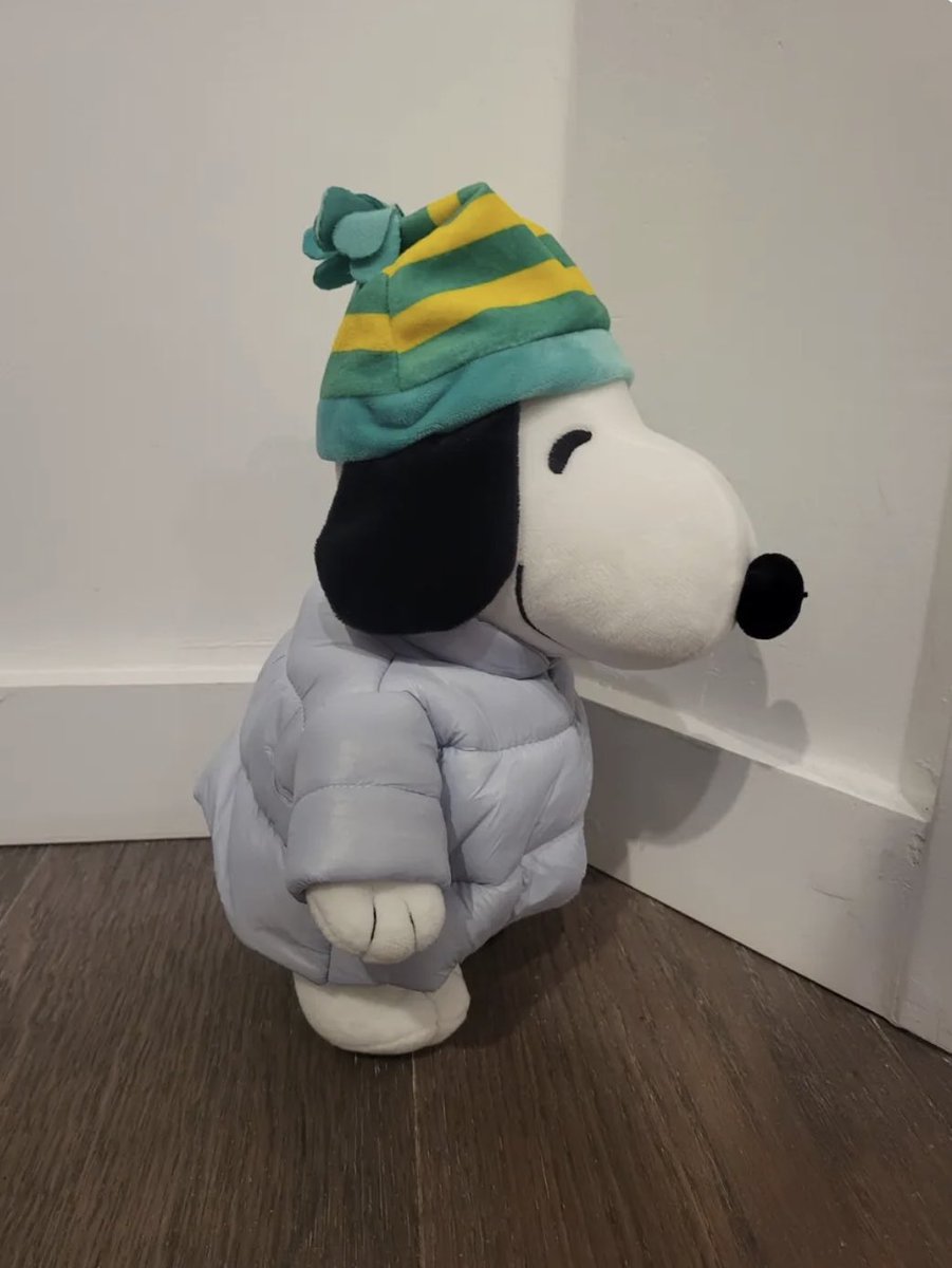 the type of dog i got in me