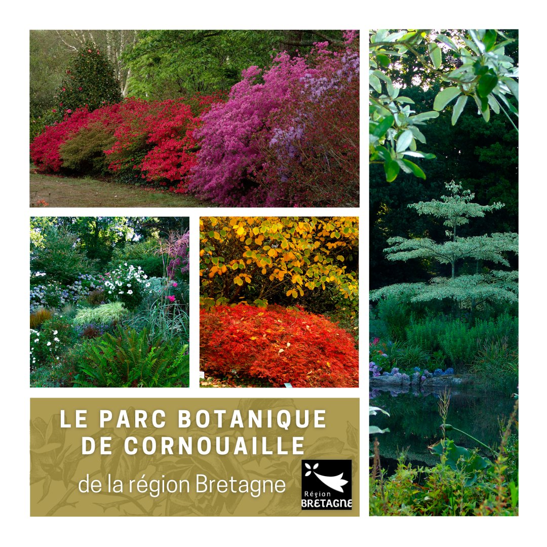 aajre_org's tweet photo. 💐 Le parc botanique de Cornouaille de la région Bretagne rejoint l’association des amis des jardins remarquables européens
🔗 https://t.co/NHigWzPrbT
#Jardin #Remarquable #parcbotaniquedecornouaille #parcsetjardins #Bretagne #bretagnetourisme #regionsdefrance #aajre #Association #Patrimoine #Europe #Paysage #Nature #JardinRemarquable #Label #greenartaard #tourisme #PrixDelArtduJardin #garden
@regionbretagne @MinistereCC @Rdv_Jardins