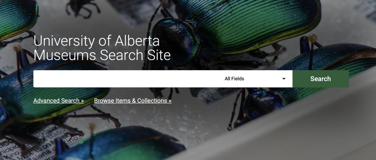 More than half-a-MILLION #UAlbertaMuseums object records are available online.😱 

Discover the #UAlbertaMuseums Search Site and learn something new today! bit.ly/2E3iZUU 

#UAlberta