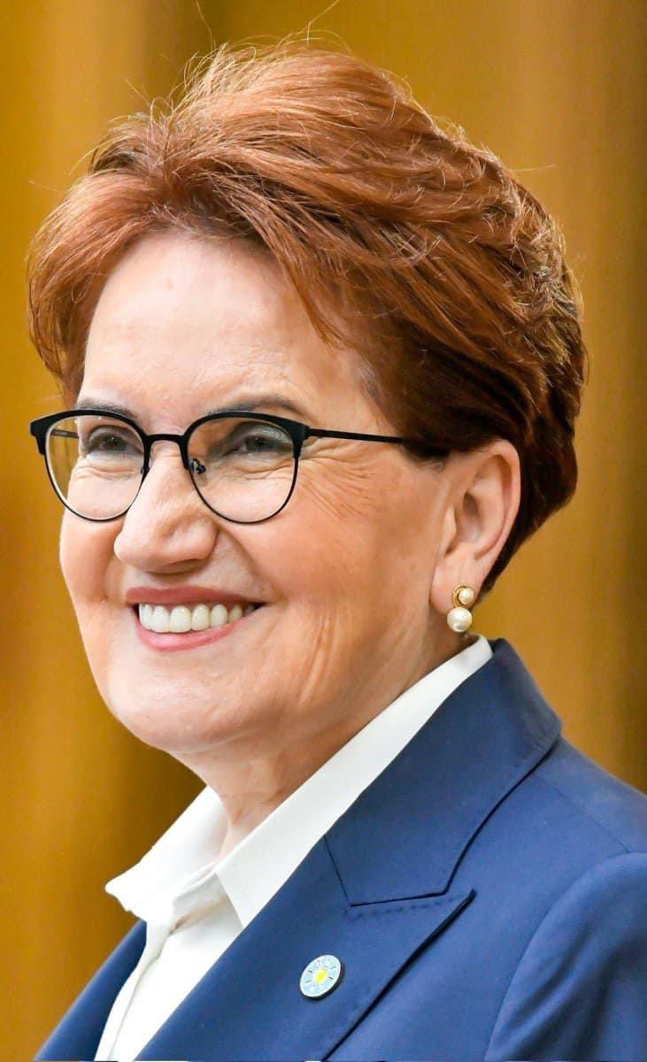 You will never Walk alone… <a href="/meral_aksener/">Meral Akşener</a> 

Not: Türkçe anlamıyorsunuz belki İngilizce yazarsam anlarsınız